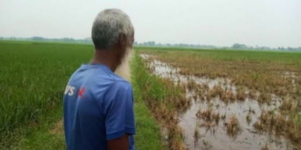 এখনও ক্ষতি কাটিয়ে উঠতে পারেননি গত বন্যায় ক্ষতিগ্রস্তরা